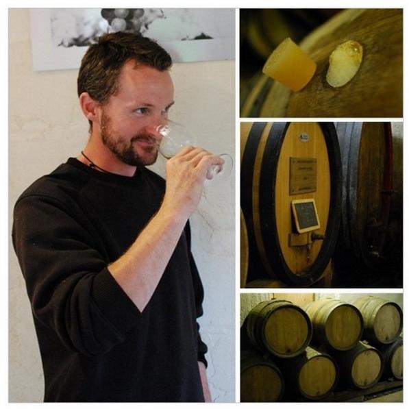 ドメーヌ・ド・ラ・ボルド　ヴァン・ジョーヌ　2016／VIN JAUNE　Domaine de la Borde 　2016 |  | 03