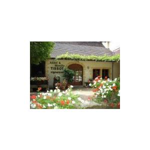 ステファン・ティソ　トゥルソー　アンフォール　2022　／SINGULIER AMPHORE |  | 03