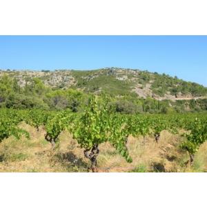 ジュリー・ブロスラン　ラ・ポロネーズ　2021／JULIE BROSSELIN 　LA POLONAISE |  | 02