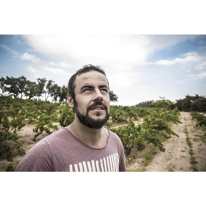 コスミック・ヴィニャテーズ　デスティ　2023／CELLER COSMIC VINYATERS 　DESTI |  | 02