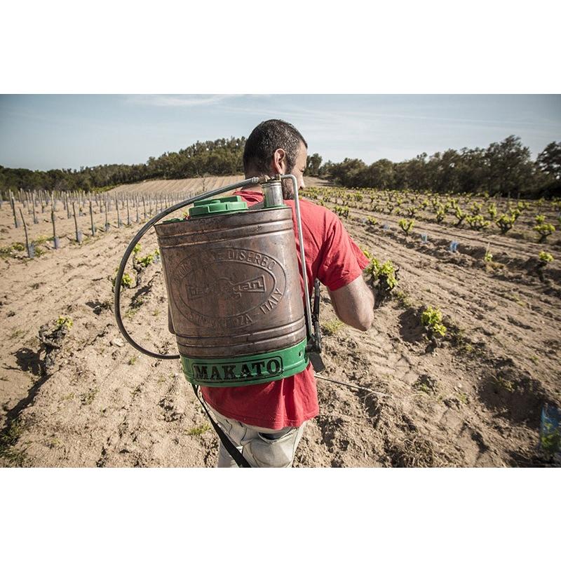 コスミック・ヴィニャテーズ　デスティ　2023／CELLER COSMIC VINYATERS 　DESTI |  | 05