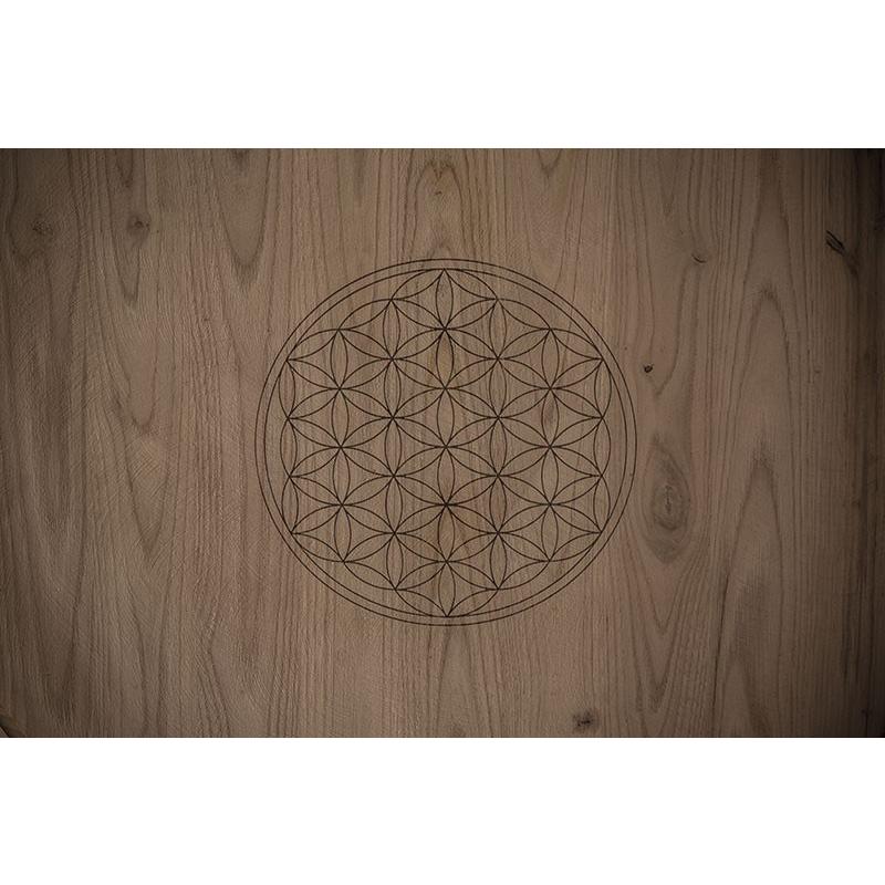 コスミック・ヴィニャテーズ　デスティ　2023／CELLER COSMIC VINYATERS 　DESTI |  | 09