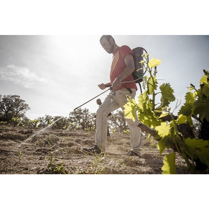 コスミック・ヴィニャテーズ コネクシオ・コスミカ　2022 |  | 06