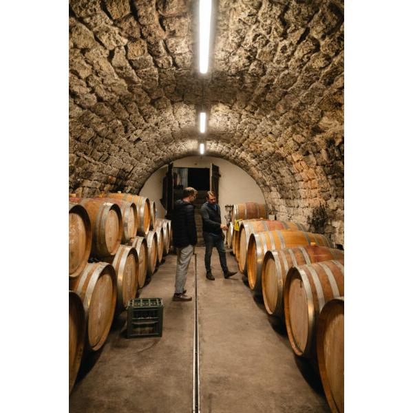 マルクス・アルテンブルガー　グリチェンベルク2019／MARKUS ALTENBURGER　GRITSCHENBERG |  | 02