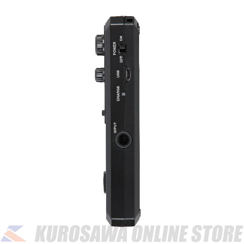 BOSS Pocket GT [Pocket Effects Processor](ご予約受付中)