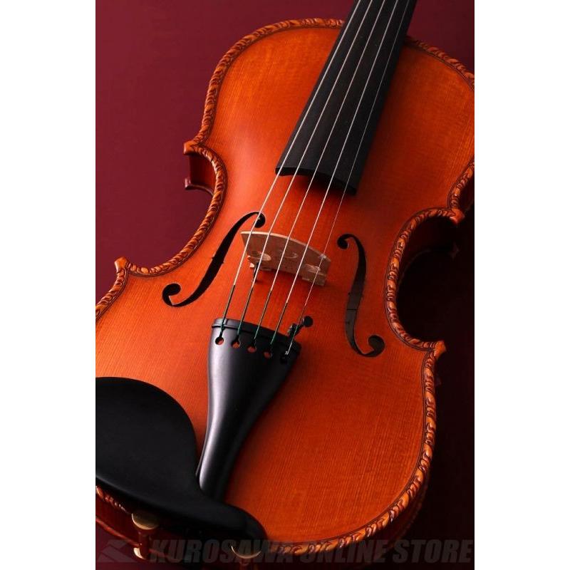 最適な材料 Gliga Ayasa Model W Fishman V 300 エレクトリックバイオリン 送料無料 完全数量限定 ご予約受付中 納期3 4か月目安 新品 55 以上節約 Zoetalentsolutions Com