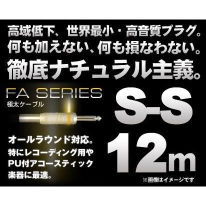 売れ筋がひクリスマスプレゼント フォンケーブル Ex Pro Cable シールド 送料無料 ストレート ストレート Ss 12m Series Fa 輝い Www Ghadeergroup Com