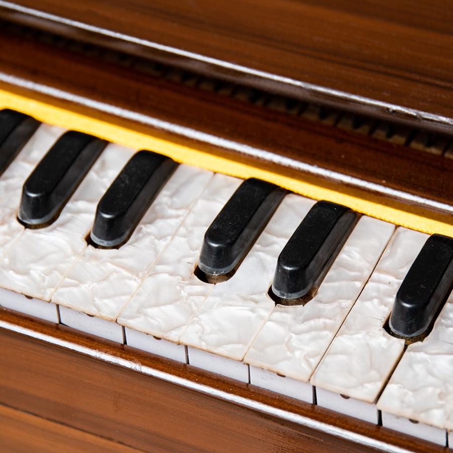 送料無料 ハルモニウム Harmonium ピアノ インド 楽器 とにかく 送料無料 ハルモニウム Harmonium ピアノ インド 楽器 とにかく