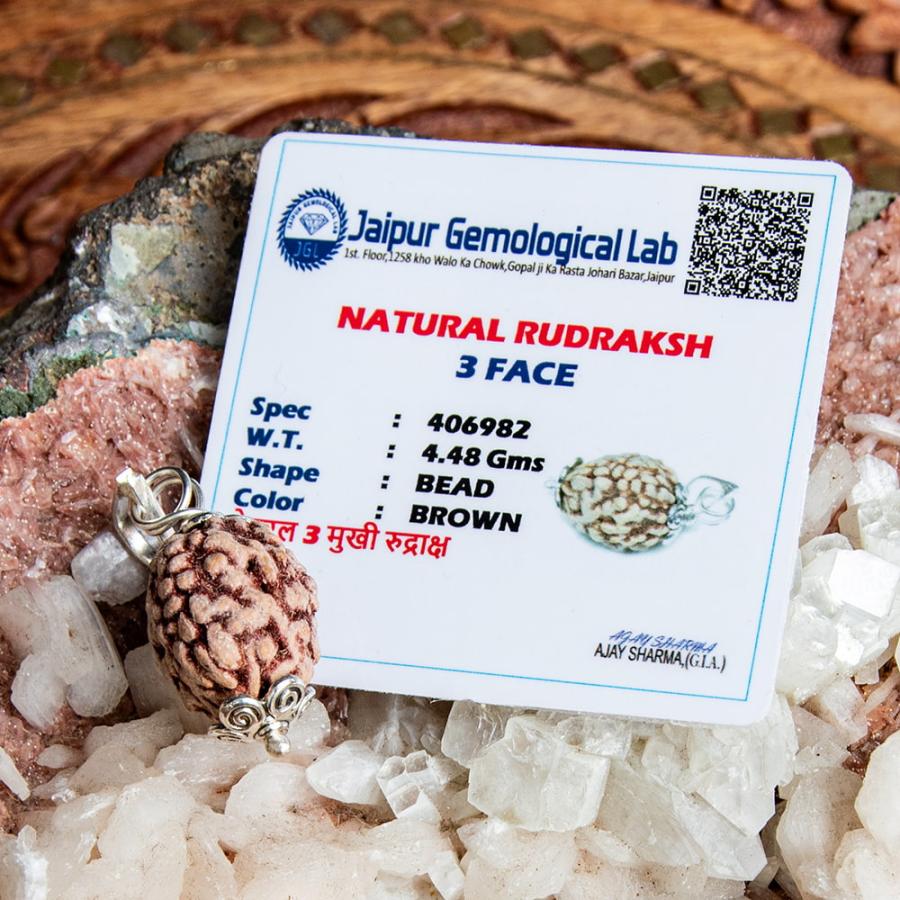 数珠 インドの数珠 ネックレス 首飾り (3面)鑑定書付き 聖なる菩提樹