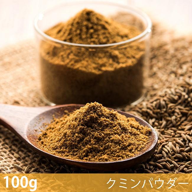 クミンパウダー Cumin Powder スパイス (100g)クミンパウダー ハーブ