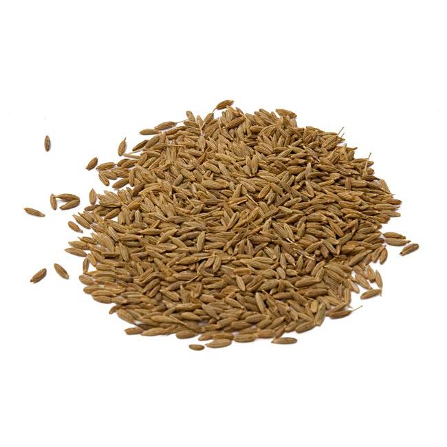 クミンシード パウダー スパイス クミンシードー Cumin Seed (20g) アジアン食品 エスニック食材｜tirakita-shop｜02