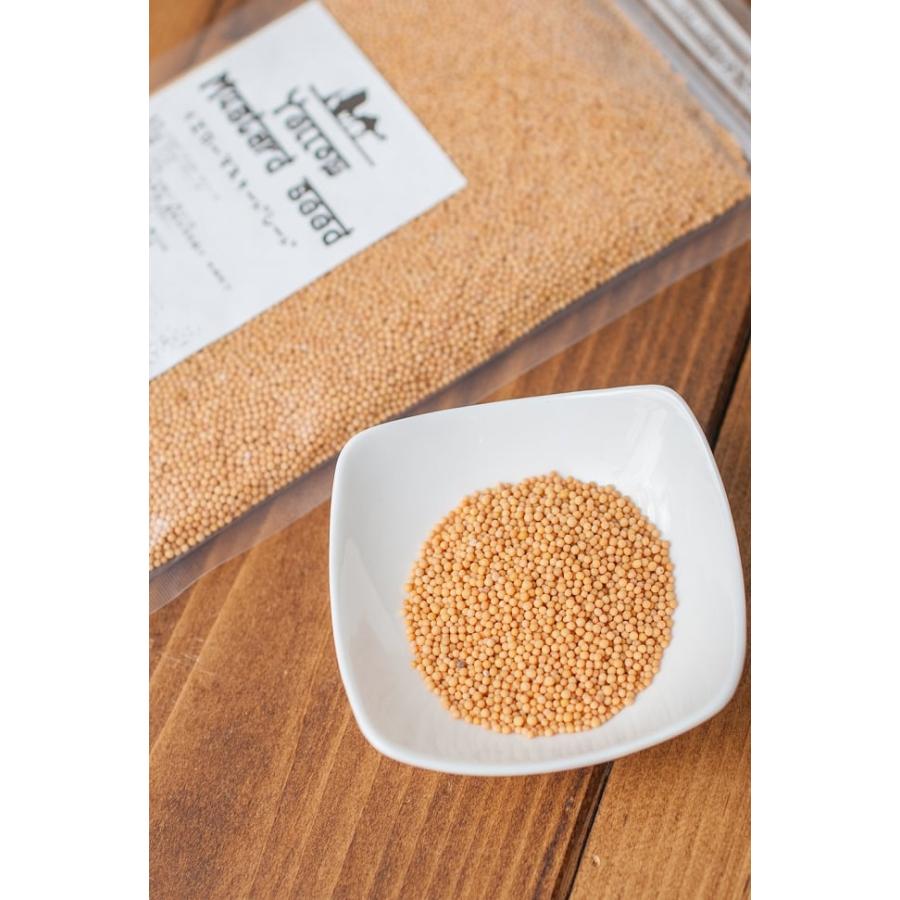 メーカー直売 マスタードシード スパイス 香辛料 インド イエロー Yellow Mustard Seed 100gパック お買い得 お試し 食品 食材 Quran Unv Edu Sd