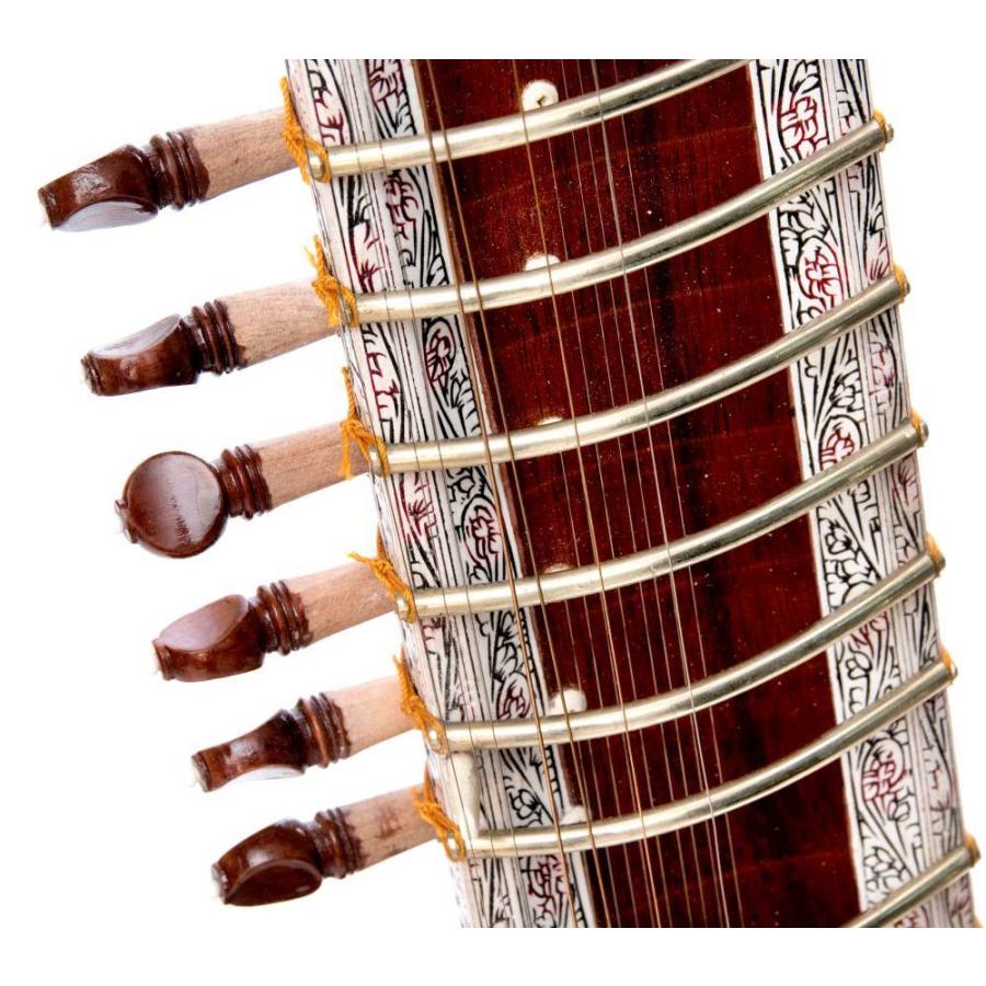 楽器 シタール Sitar インド (PALOMA社製)高級シタールセット（グラス 