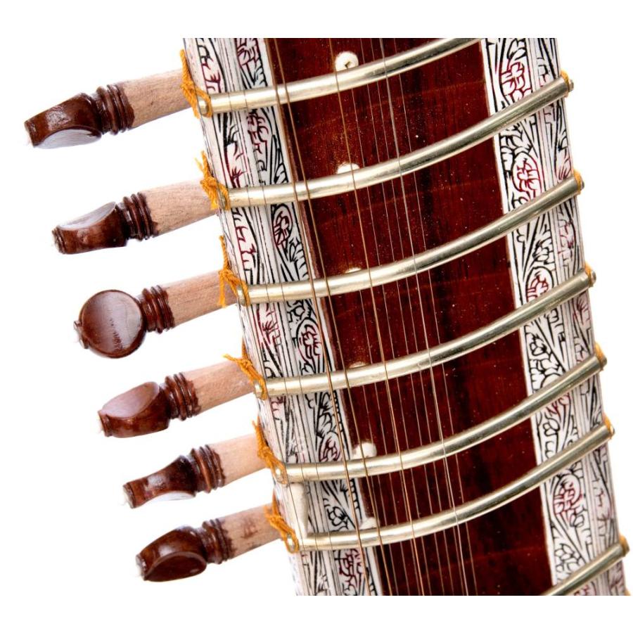 楽器 シタール Sitar インド (PALOMA社製)高級シタールセット（グラスファイバーケース） 弦楽器 民族楽器｜tirakita-shop｜04