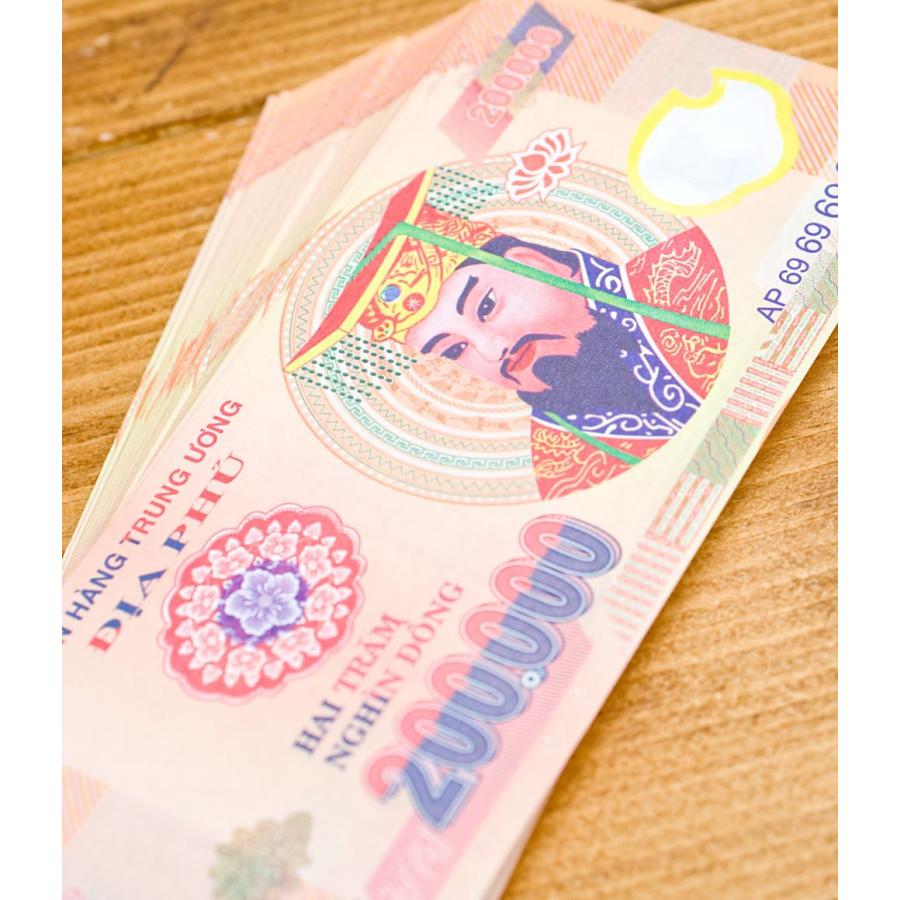 ベトナム おもちゃ 紙幣 ドン 死後の世界のお金 冥金100枚セット ベトナム おもちゃ 紙幣 ドン 死後の世界のお金 冥金100枚セット