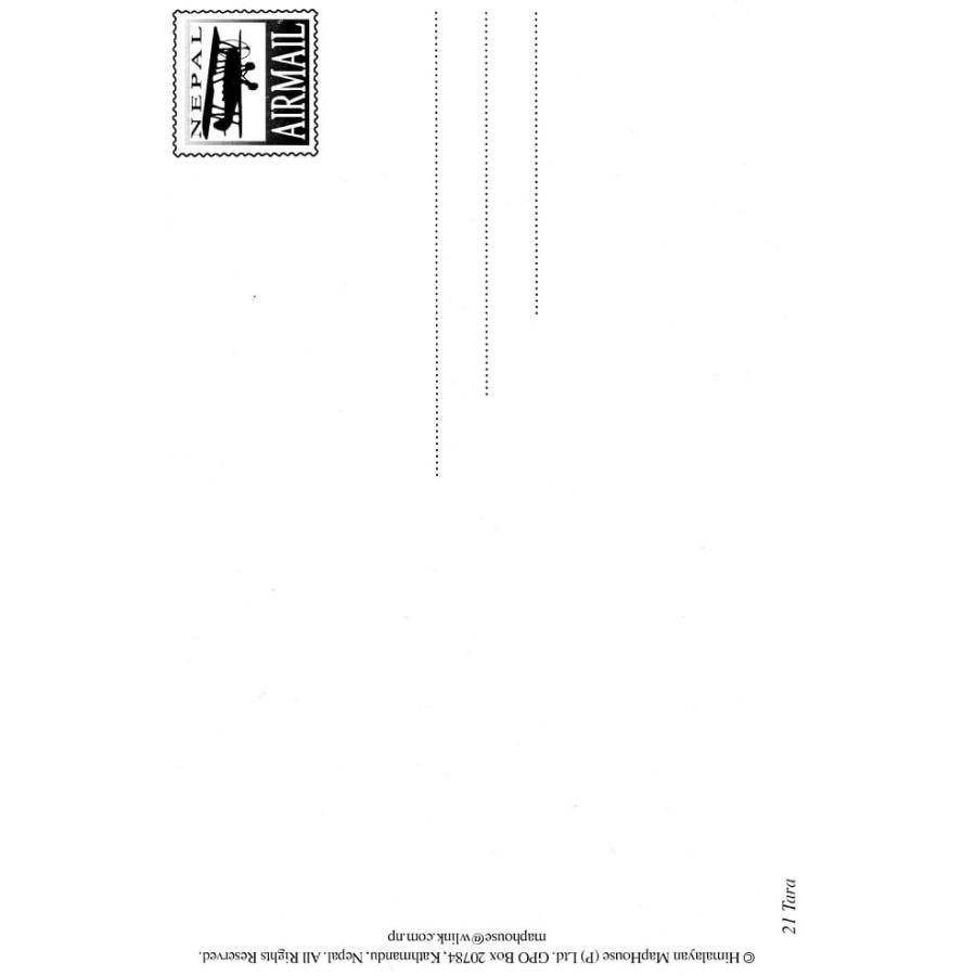 ポストカード はがき おみやげ 手紙 グリーン ターラのポストカード 曼荼羅 シンボル 謎 マントラ 真言 神 Pcd God 259 インド アジア雑貨ティラキタ 通販 Yahoo ショッピング