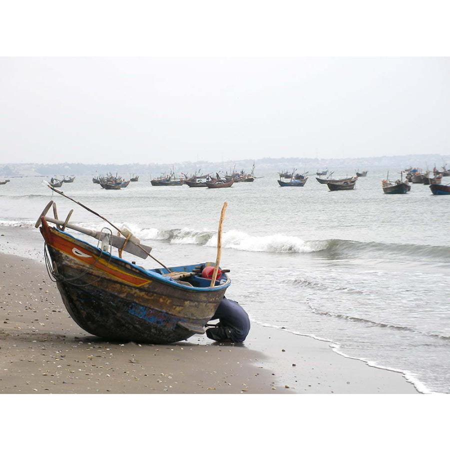 魚醤 ヌックマム Hungthanh ベトナム料理 ニョクマム 500ml フーコック島産 高品質 チンス ナムヌー ヌクマム Srv Spc 103 インド アジア雑貨ティラキタ 通販 Yahoo ショッピング