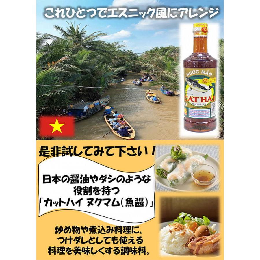 魚醤 ヌックマム Hungthanh ベトナム料理 ニョクマム 700ml カットハイ ヌクマム Cat Hai 醤油 フォー 生春巻き Srv Spc 105 インド アジア雑貨ティラキタ 通販 Yahoo ショッピング