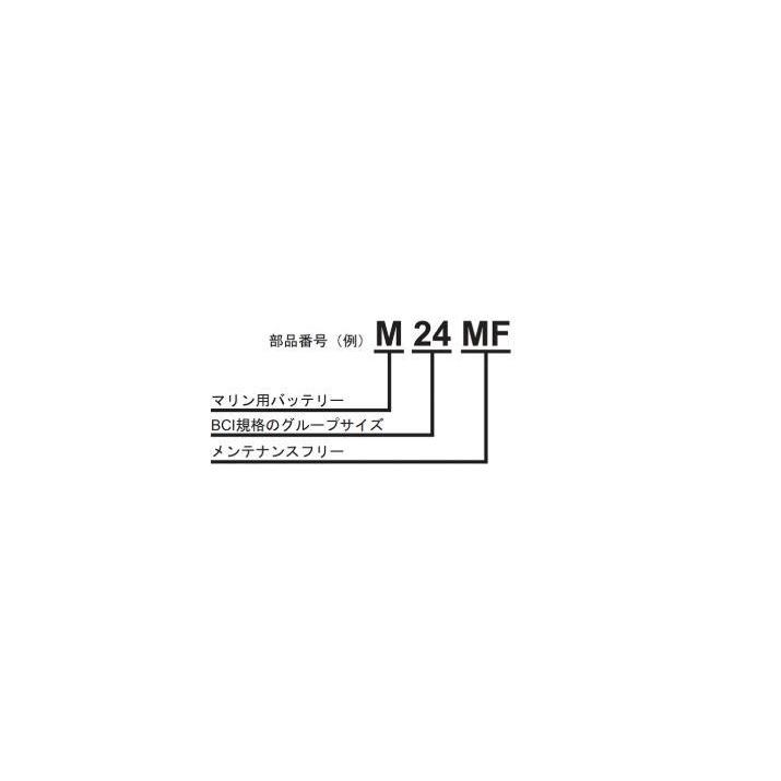 AC Delco (ACデルコ) M24MF マリン用バッテリー 補水不要(メンテナンスフリー)｜tire-box｜02