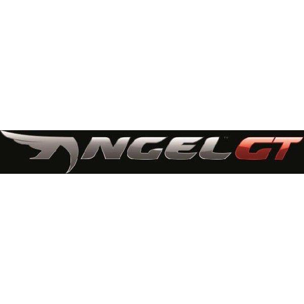 PIRELLI（ピレリ） ANGEL GT 180/55ZR17 M/C （73W） TL（A） リア