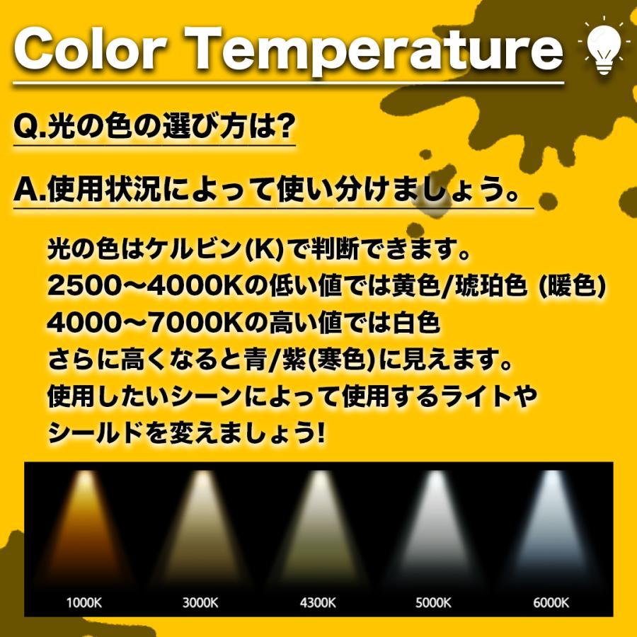 KC HiLiTES アポロ プロ ハロゲン （ライト2個入り） 55W フォグ
