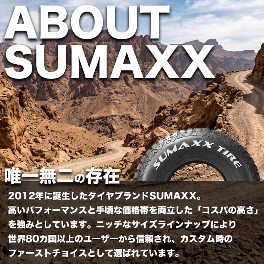 185/60R13 2026年製 SUMAXX サマックス SPORT S800 185/60-13 80H WR