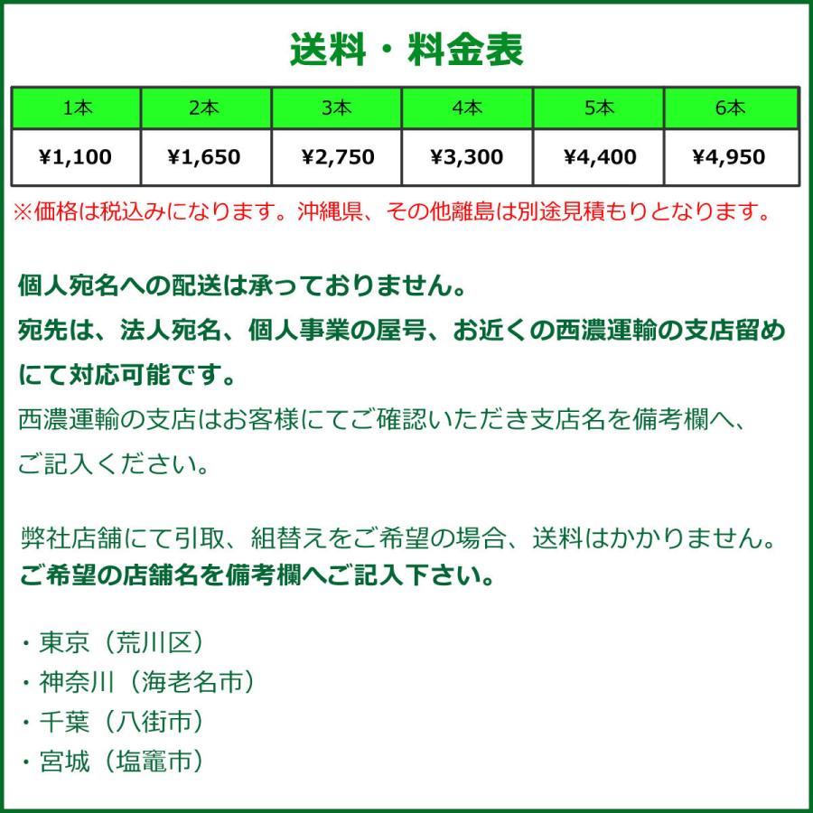 ウィンタートランパス 【乗用車用スタッドレスタイヤ】205/55R17 91Q