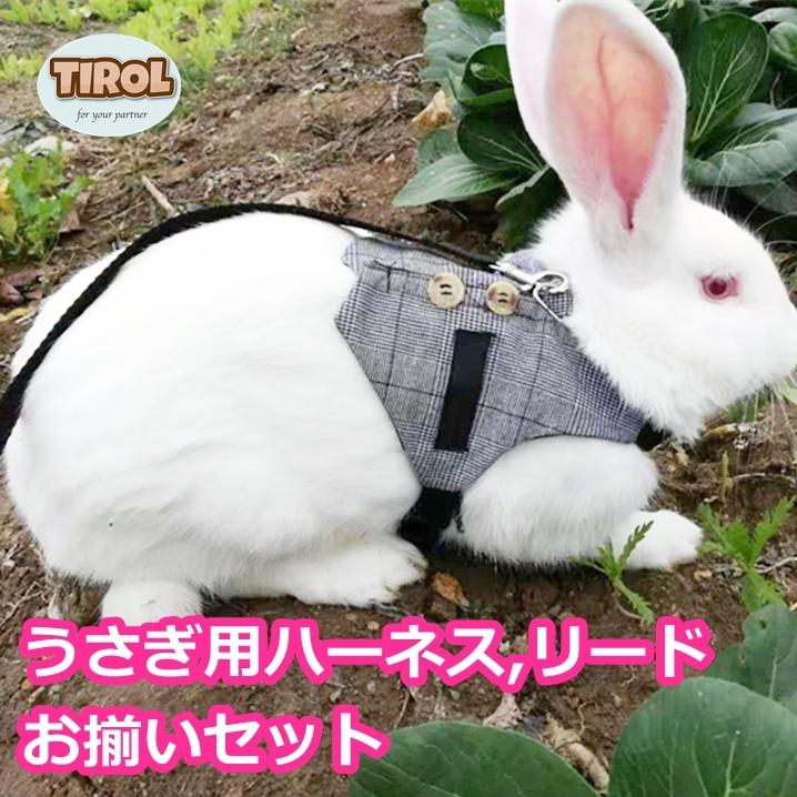 うさぎ モルモット チンチラ ウサギ 兔 服 小動物用 リード ハーネス 【SALE／89%OFF】
