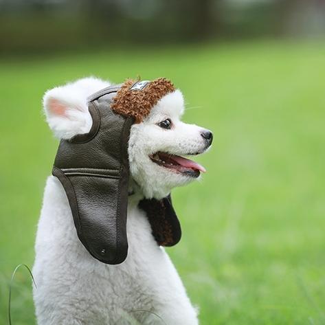 犬 帽子 ペット用ハット 熱中症 ドッグ キャップ 被り物 小型犬 中型犬 大型犬 小物 かっこいい おしゃれ かわいい 人気 1495 犬の服 犬用品 チロルペットストア 通販 Yahoo ショッピング