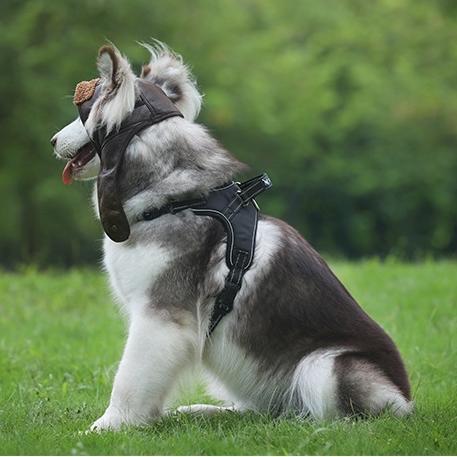 犬 帽子 ペット用ハット 熱中症 ドッグ キャップ 被り物 小型犬 中型犬 大型犬 小物 かっこいい おしゃれ かわいい 人気 1495 犬の服 犬用品 チロルペットストア 通販 Yahoo ショッピング