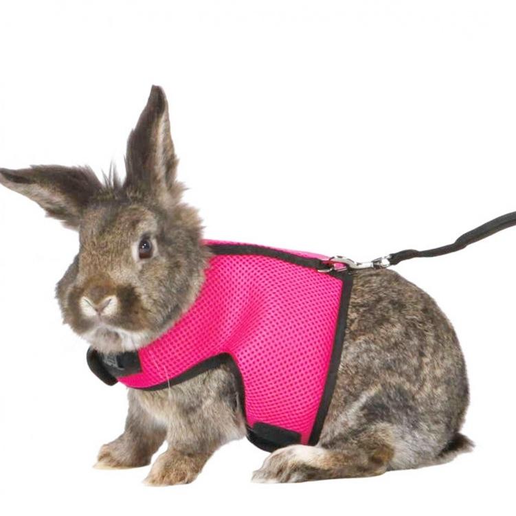 うさぎ ねずみ ハーネス リード セット 小動物 胴輪 散歩 ペット グッズ 兔 ラビット モルモット フェレット チンチラ プレーリードッグ :1522:犬の服 犬用品 チロルペットストア - 通販 - Yahoo!ショッピング うさぎ ねずみ ハーネス リード セット 小動物 胴輪 散歩 ペット グッズ 兔 ラビット モルモット フェレット チンチラ プレーリードッグ :1522:犬の服 犬用品 チロルペットストア - 通販 - Yahoo!ショッピング