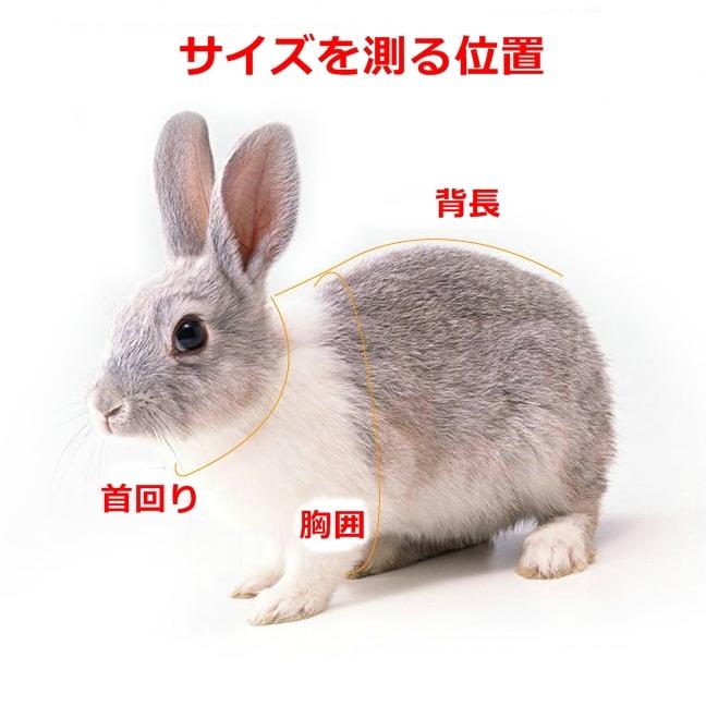 うさぎ ねずみ ハーネス リード セット 小動物 胴輪 散歩 ペット グッズ 兔 ラビット モルモット フェレット チンチラ プレーリードッグ :1522:犬の服 犬用品 チロルペットストア - 通販 - Yahoo!ショッピング うさぎ ねずみ ハーネス リード セット 小動物 胴輪 散歩 ペット グッズ 兔 ラビット モルモット フェレット チンチラ プレーリードッグ :1522:犬の服 犬用品 チロルペットストア - 通販 - Yahoo!ショッピング