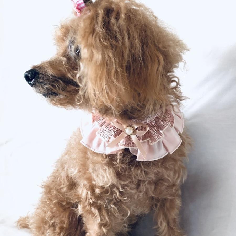 犬 猫 アクセサリー 首飾り チョーカー 送料無料 ネックレス レース ラメ 女の子 おすすめ ペット 人気 安い かわいい ペット用 襟飾り かわいい Tra 023p 犬の服 犬用品 チロルペットストア 通販 Yahoo ショッピング