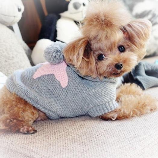 犬 服 セーター ハンドメイド 手編み 送料無料 星 ニット パーカー 編み物 フード付き 冷え防止 暖かい おしゃれ おすすめ ドッグウェア 人気 安い Trf 005 犬の服 犬用品 チロルペットストア 通販 Yahoo ショッピング