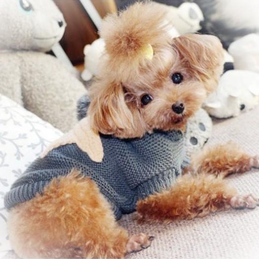 犬 服 ニット セーター ハンドメイド Ｔシャツ 手編み ドッグウェア