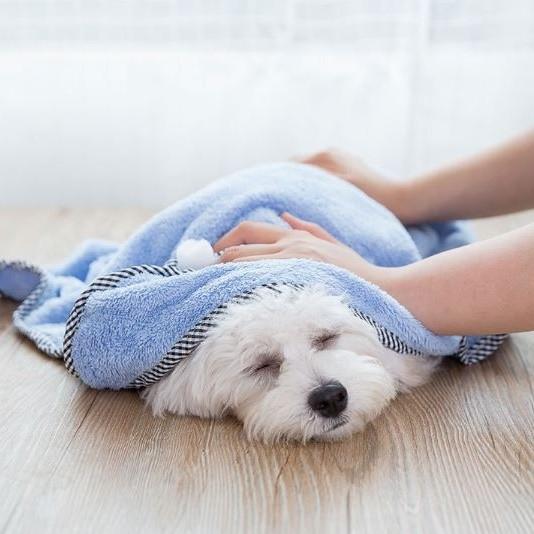 犬 タオル 大きめ 速乾 猫 おしゃれ おすすめ ペット 人気 安い かわいい ロングセラー シャワー バスタオル 乾燥 ポンチョ 拭き取り Trt 犬の服 犬用品 チロルペットストア 通販 Yahoo ショッピング