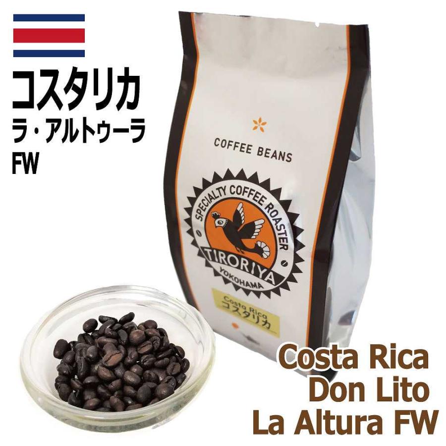 レギュラー コーヒー 豆 選べる 飲み比べセット 100g 3銘柄 合計300g