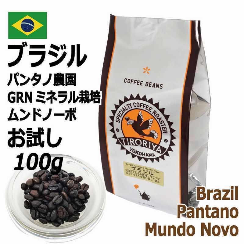 レギュラーコーヒー豆 ブラジル 100g お試し 10杯分 パンタノ
