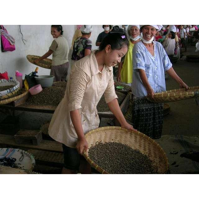 お徳用 レギュラーコーヒー豆 マンデリン トバコ インドネシア 500g