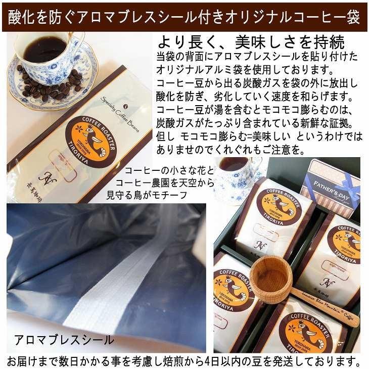 レギュラーコーヒー 豆 タンザニア キリマンジャロ お試し100g