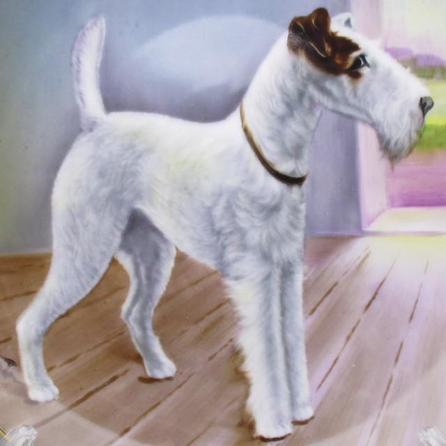 ノリタケ オールドノリタケ 犬絵 プレート 飾り皿 22cm ノリタケ オールドノリタケ 犬絵 プレート 飾り皿 22cm