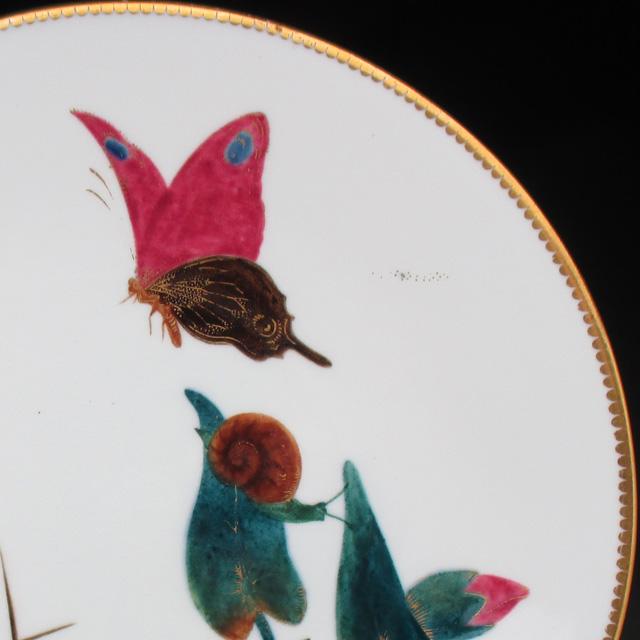 ロイヤルウースター 蝶蝸牛絵 プレート 23cm アンティーク 1874年 