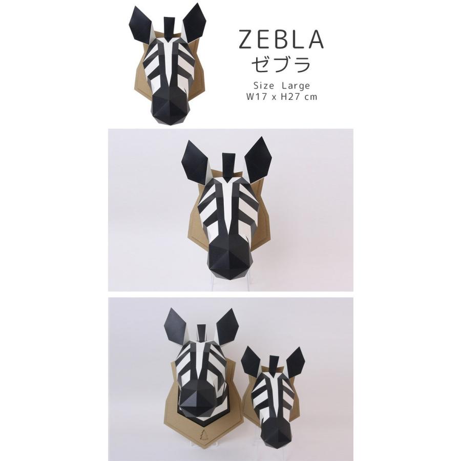 剥製インテリア 15634065.jpg