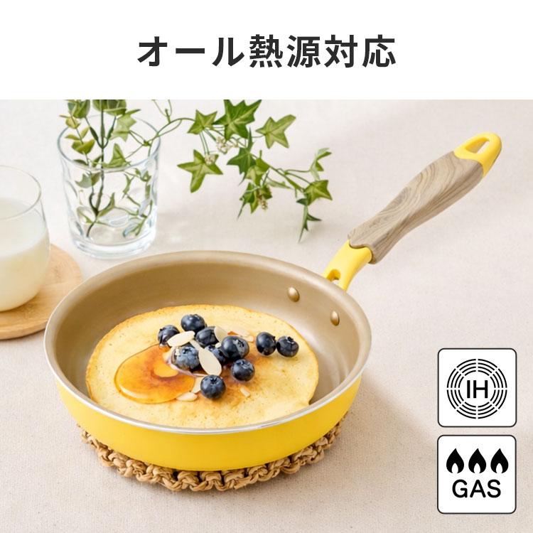 evercook エバークック フライパン 20cm IH ガス対応 ドウシシャ