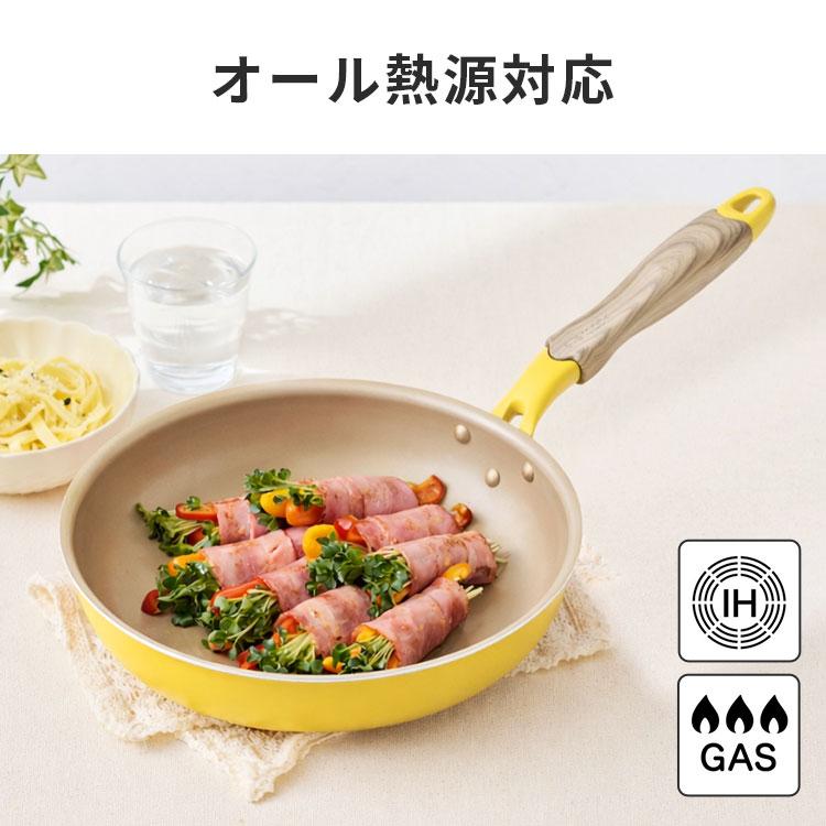evercook エバークック フライパン 26cm IH ガス火 ドウシシャ