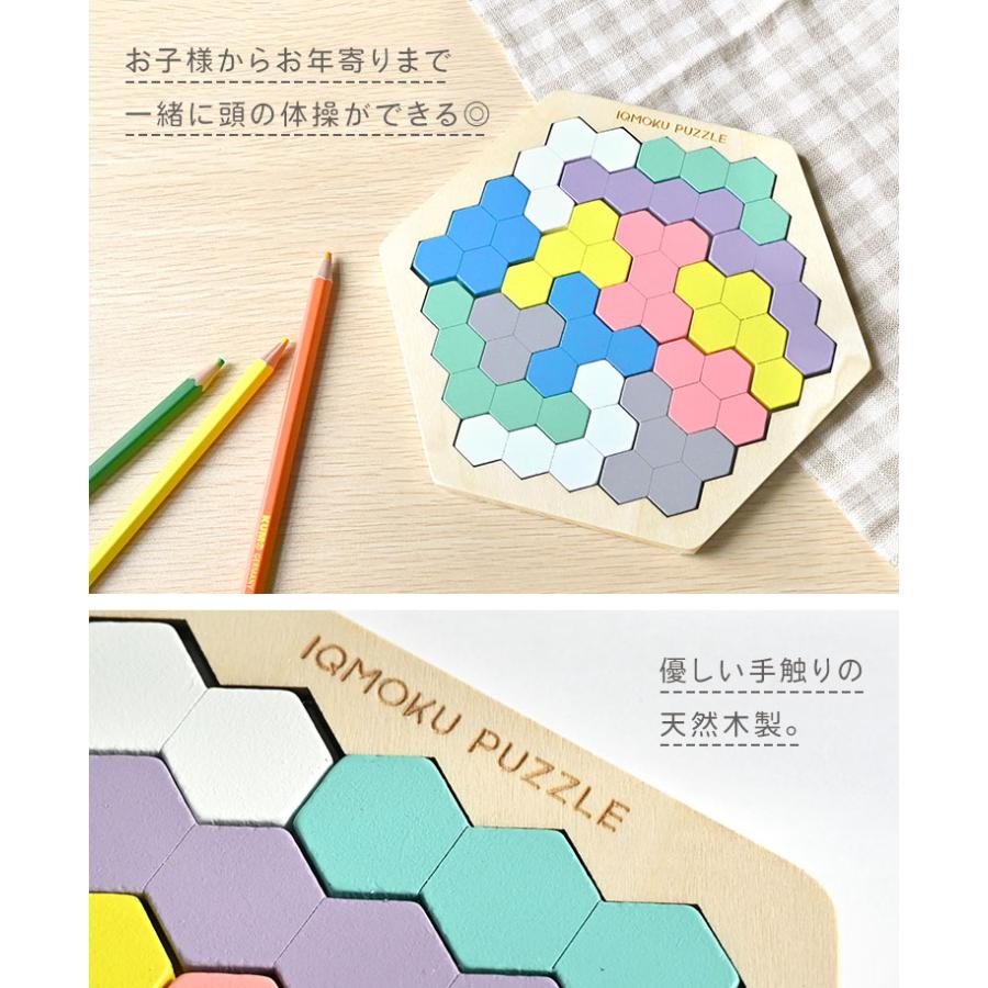ビス雲梯　知育　ビスで作製　ビス約100本で完成　作製側のビスは48本使用で販売 DEBIKA（デビカ） 知育 パズル イクモク 木製知育パズル 六角形 知育