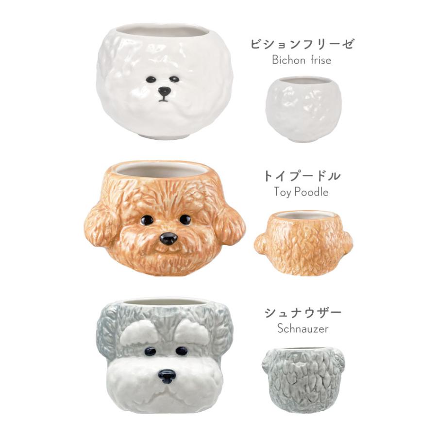 お茶碗 ビションフリーゼ トイプードル シュナウザー 茶碗 ご飯茶碗 犬