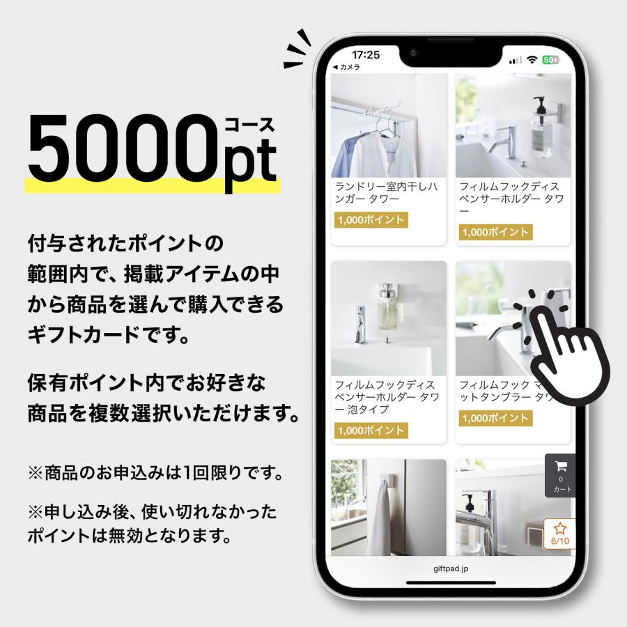 tower 山崎実業 ギフトカード 5000pt タワー カードタイプ カタログ