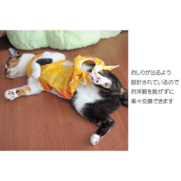 オムツカバー 猫用 おむつ ねこ : Tissue s Trunk - 通販