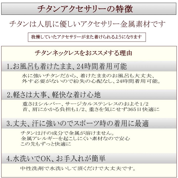 純 チタン ネックレス ペンダント トップ clover4R 女性向け レディース 金属アレルギー対応の画像